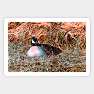 Nesting Goose illustration Sticker